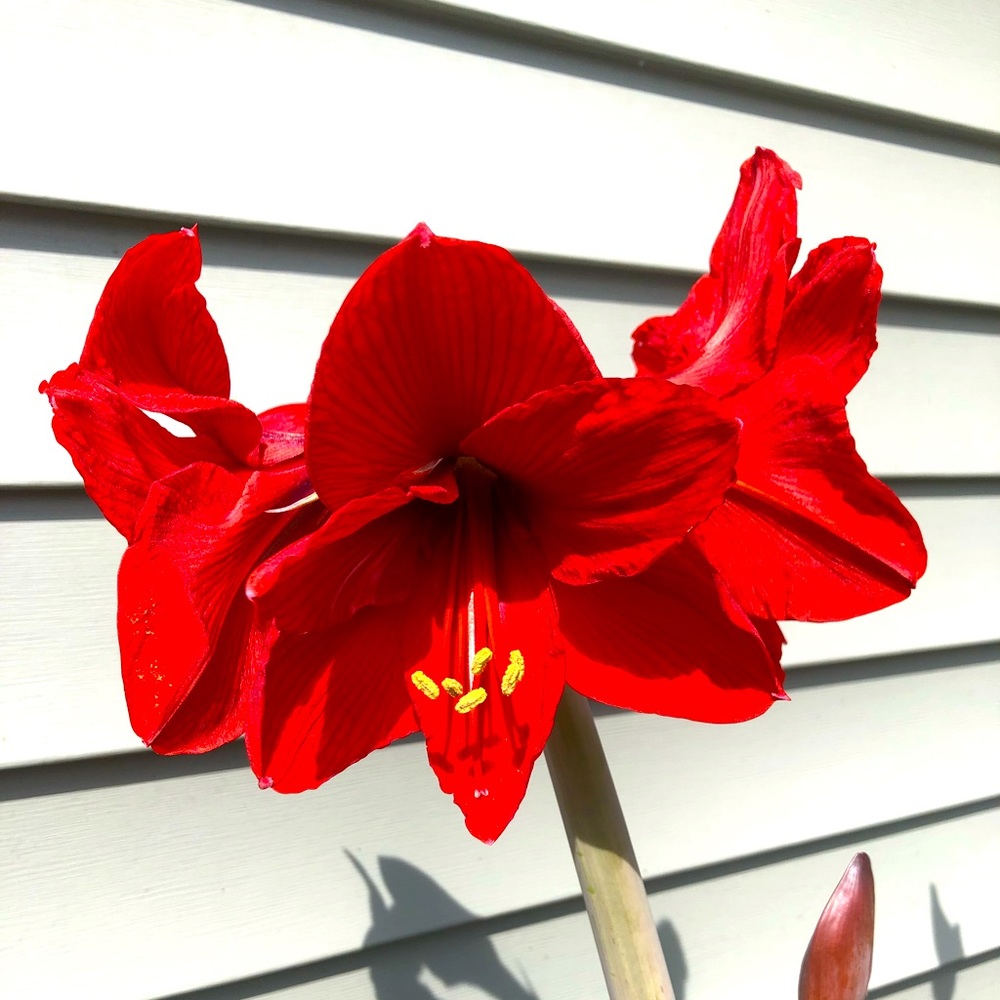 Meet your Posher, Je